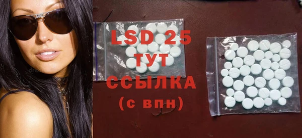 индика Новозыбков