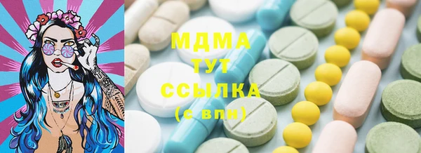 индика Новозыбков