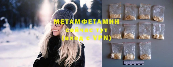 индика Новозыбков