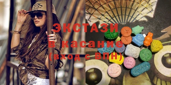 индика Новозыбков