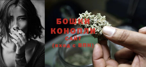 прущие крисы Новокубанск
