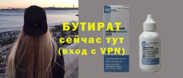 индика Новозыбков