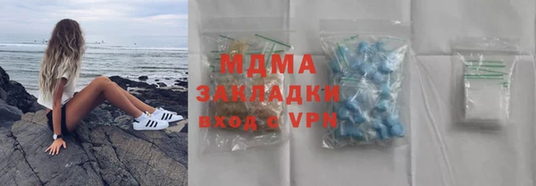 индика Новозыбков