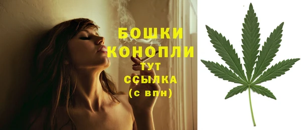 прущие крисы Новокубанск