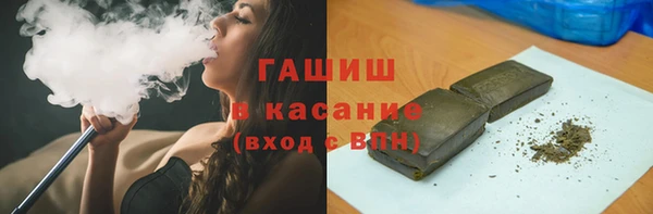 индика Новозыбков