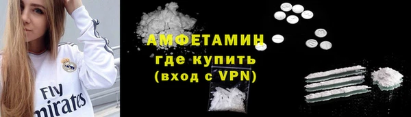 индика Новозыбков