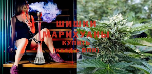 прущие крисы Новокубанск