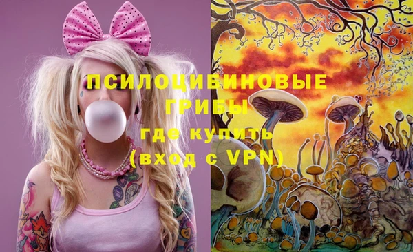 индика Новозыбков