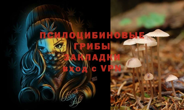 амфетамин Новодвинск