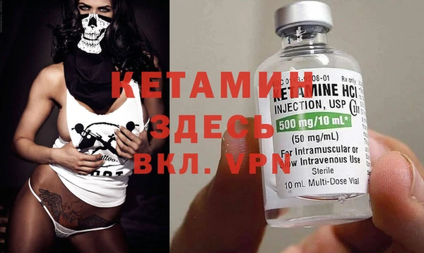 индика Новозыбков