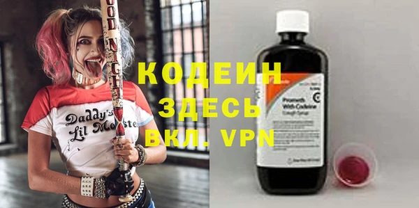 индика Новозыбков